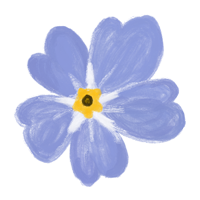 Forglemmigej
